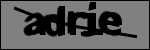 متن برای شناسایی