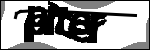 متن برای شناسایی